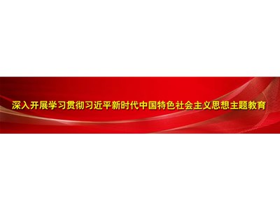 學習貫徹習近平新時代中國特色社會主義思想主題教育融媒體專題